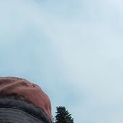 ���������� ���������, ���� ������� �����, 29 ���, ������������ ��� ������, ����� � ���������, ���������