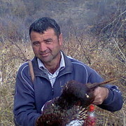 ���������� ���������, ���� ������� ��������, 46 ���, ������������ ��� ������, ����� � ���������, c�������� ���������