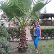   ,   , 44 ,     , c 