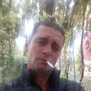  ,  , 41