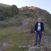  ,   , 59 ,   ,   , c 