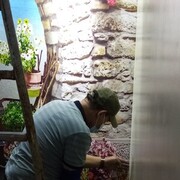 ���������� ����, ���� ������� �����, 58 ���, ������������ ��� ������, ����� � ���������