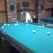 ���������� �������, ���� ������� Kasper, 30 ���, ������������ ��� ������, ����� � ���������, c�������� ���������