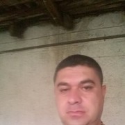  ,   Sasun, 48 ,   ,   , c 