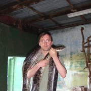 ���������� ����, ���� ������� ��������, 46 ���, ������������ ��� ������, ����� � ���������, c�������� ���������