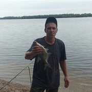 ���������� ���������, ���� ������� ������, 43 ����, ������������ ��� ������, ����� � ���������