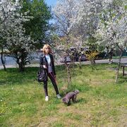 ���������� ���������, ���� ������� ���, 44 ����, ������������ ��� c�������� ���������