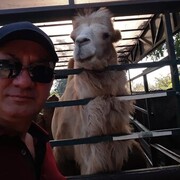  ,   , 52 ,   ,   