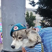 ���������� ����, ���� ������� �������, 34 ����, ������������ ��� ������, ����� � ���������, c�������� ���������, ���������