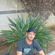 ���������� ���������, ���� ������� �����, 40 ���, ������������ ��� ������, ����� � ���������