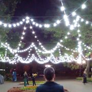 ���������� �����������, ���� ������� ��, 36 ���, ������������ ��� ������, ����� � ���������, c�������� ���������, ���������