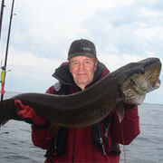 ���������� ������, ���� ������� ����, 67 ���, ������������ ��� ����� � ���������, c�������� ���������