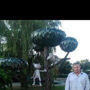 ���������� ���������, ������� ���������, 49