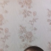  ,   MARK, 27 ,   ,   , c 