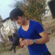 ���������� �����������, ���� ������� ����, 31 ���, ������������ ��� ������