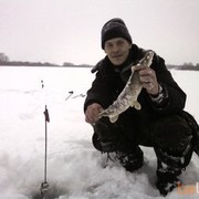 ���������� �����, ���� ������� �����, 46 ���, ������������ ��� ������, ����� � ���������, c�������� ���������