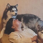 ���������� �����-���������, ���� ������� �������, 54 ����, ������������ ��� ����� � ���������, c�������� ���������