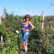  ,   , 55 ,  