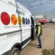 ���������� ������, ���� ������� �����, 47 ���, ������������ ��� c�������� ���������