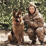 ���������� ������, ���� ������� �������, 38 ���, ������������ ��� ���������