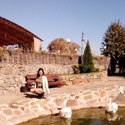 ���������� ����-��������, ������� �����, 38