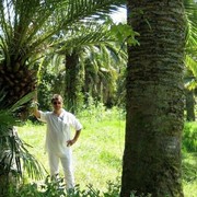  ,    , 60 ,   ,   , c 