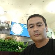  ,  , 37