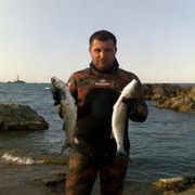 ���������� ����, ���� ������� �����, 44 ����, ������������ ��� ������, ����� � ���������, c�������� ���������