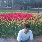  ,   Muha, 37 ,  