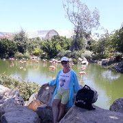  ,   , 62 ,   ,   , c 