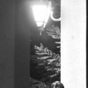 ���������� ������, ���� ������� ��������, 36 ���, ������������ 