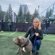 ���������� ������, ���� ������� ����, 51 ���, ������������ ��� ���������