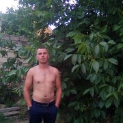  ,  , 37