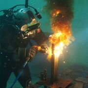 ���������� ������, ���� ����� ������, 24 ����, ������������ ��� ������, ����� � ���������, c�������� ���������, ���������