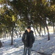  -,  muha, 30