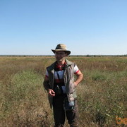 ���������� ������, ���� ������� ����, 46 ���, ������������ 