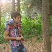  ,   Sunnat, 38 ,     , c 