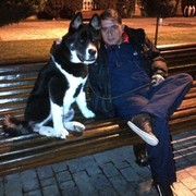 ���������� ����, ���� ������� �����, 62 ����, ������������ ��� ������, ����� � ���������, c�������� ���������