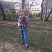  -,   , 54 ,   ,   , c 