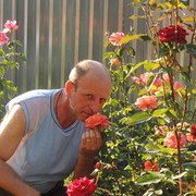  ,   , 61 ,   