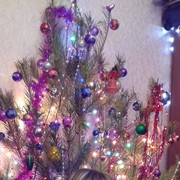 ���������� ������, ���� ������� Inna, 45 ���, ������������ ��� ������, ����� � ���������, c�������� ���������