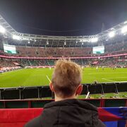 ���������� �������, ���� ������� �������, 29 ���, ������������ ��� ������, ����� � ���������, c�������� ���������