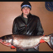 ���������� �����, ���� ������� �������, 44 ����, ������������ ��� ������, ����� � ���������, c�������� ���������