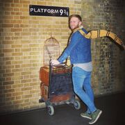 ���������� ������ ��������, ���� ������� ������, 39 ���, ������������ ��� ����� � ���������, c�������� ���������