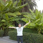  ,   , 50 ,   , 