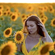 ���������� �����������, ���� ������� ����, 38 ���, ������������ ��� ����� � ���������, c�������� ���������, ���������