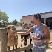 ���������� ������, ���� ������� � �� kirfedu, 32 ����, ������������ ��� ������, ����� � ���������, c�������� ���������