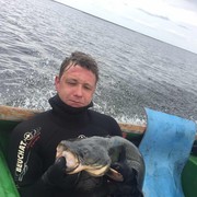 ���������� ��������, ���� ������� �������, 48 ���, ������������ ��� ������