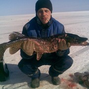 ���������� ��������, ���� ������� �������, 39 ���, ������������ ��� ������