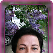   ,   , 58 ,     , c 